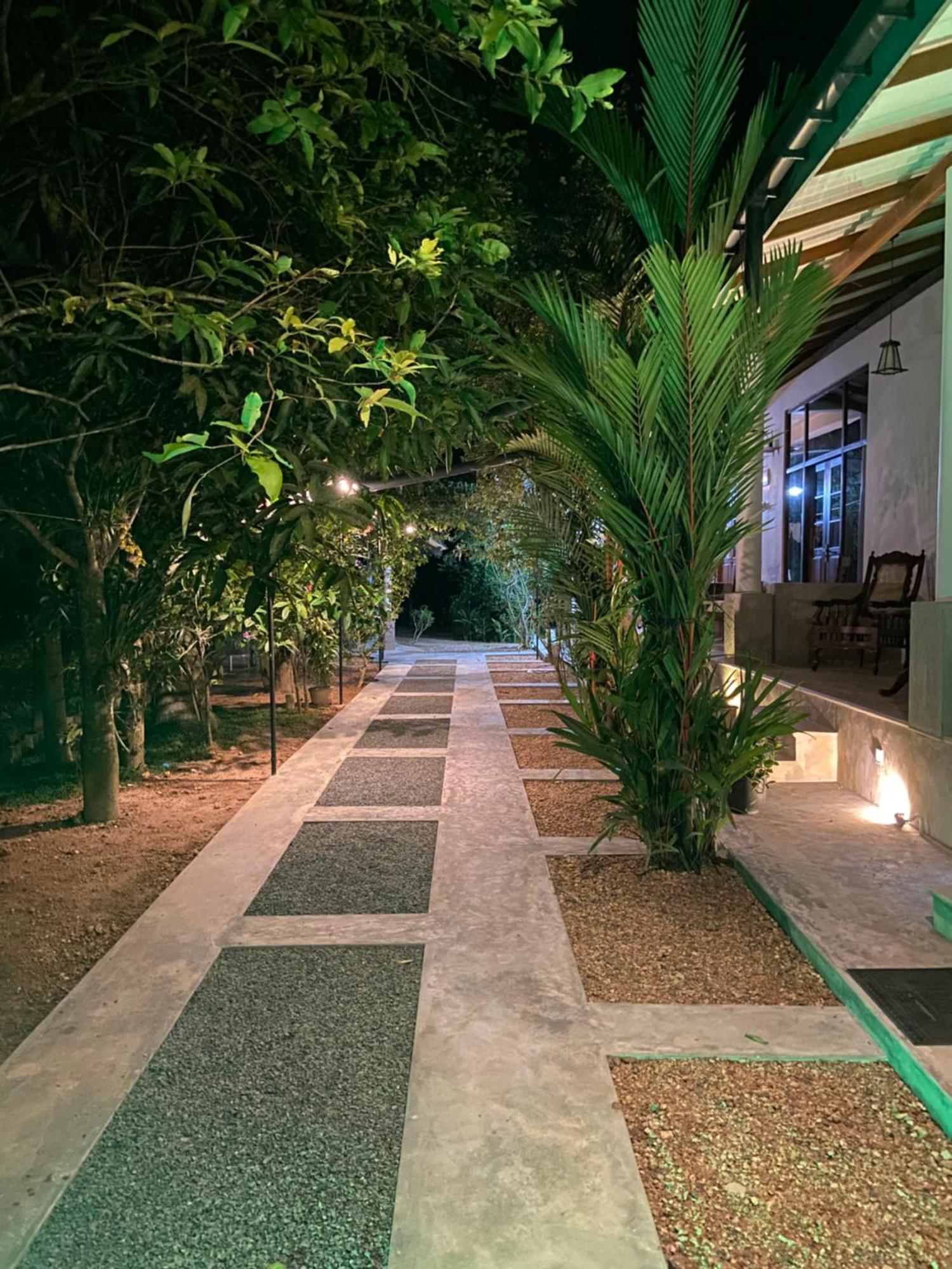 The Dale Mirissa Hotel Ngoại thất bức ảnh