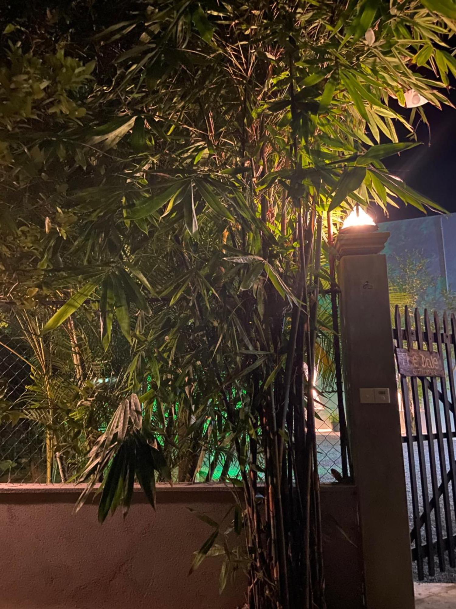The Dale Mirissa Hotel Ngoại thất bức ảnh